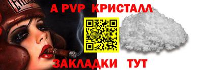 хмурый Кингисепп