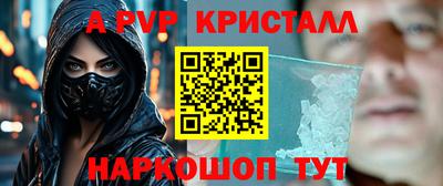 хмурый Кингисепп