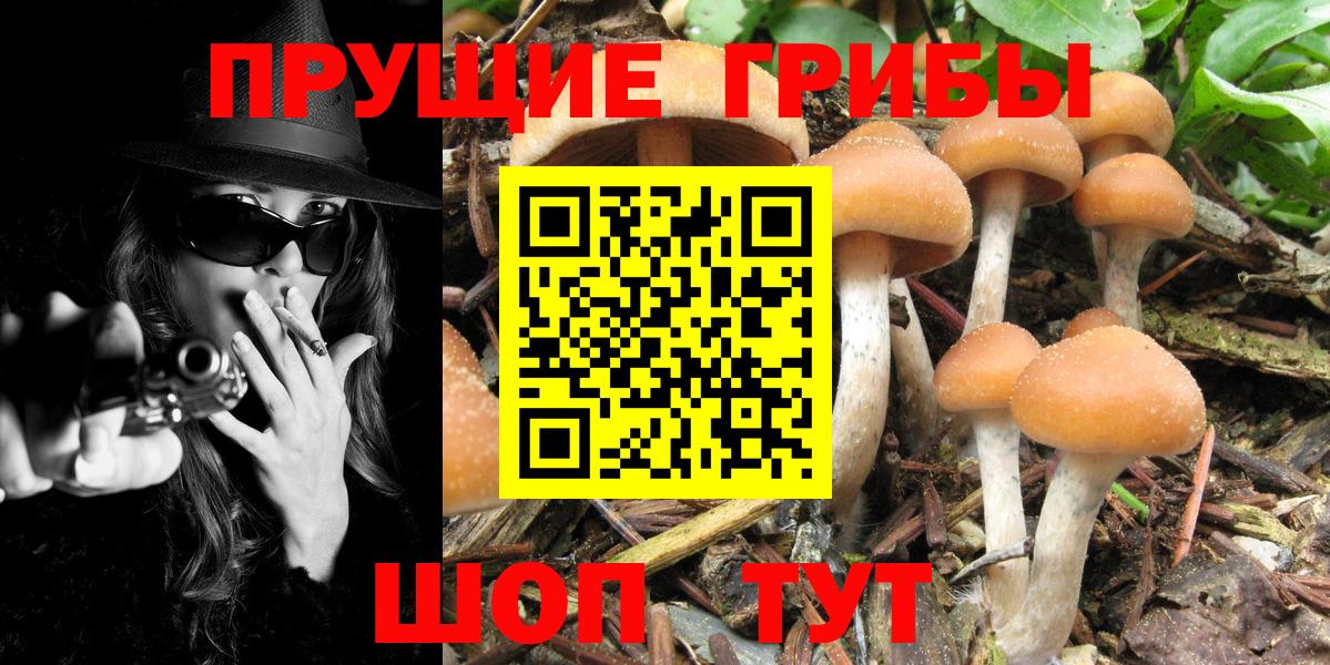 Псилоцибиновые грибы прущие грибы  Вход с VPN  Черкесск 