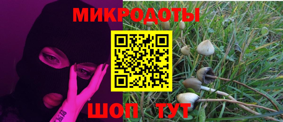 Псилоцибиновые грибы MAGIC MUSHROOMS Черкесск